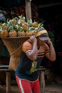 Pineapple Import Customs Clearance At Jebel Ali Port, Dubai, Uae