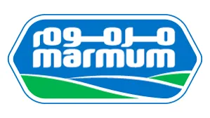 cargo clearing agent