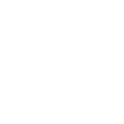 the customs clearance door delivery